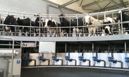 Подведены итоги ежеквартального областного соревнования за достижение высоких показателей в производстве молока за 2018 год.