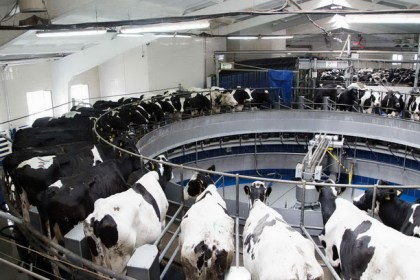 Итоги областного соревнования