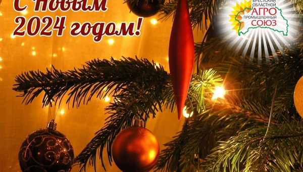 С наступающим Новым годом и Рождеством Христовым!